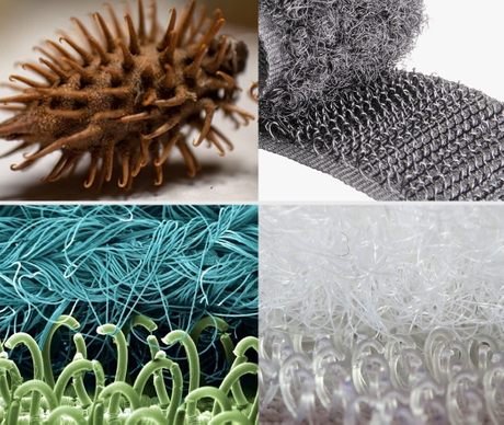 microscopic view of a burdock burr and a hook and loop fastener..jpg